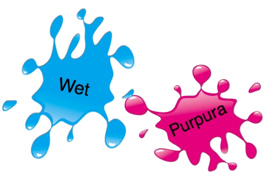 Wet Purpura