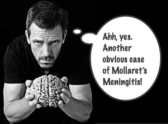 Mollaret's Meningitis