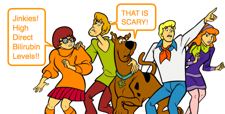 Scoobydoo fai da te (Foto 31 di 39)