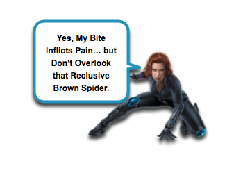 Brown Recluse Envenomation