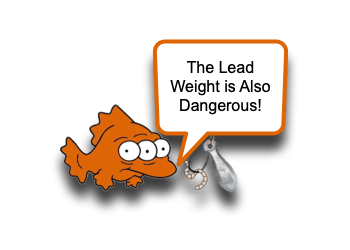 Lead Weight and Bullet Ingestion