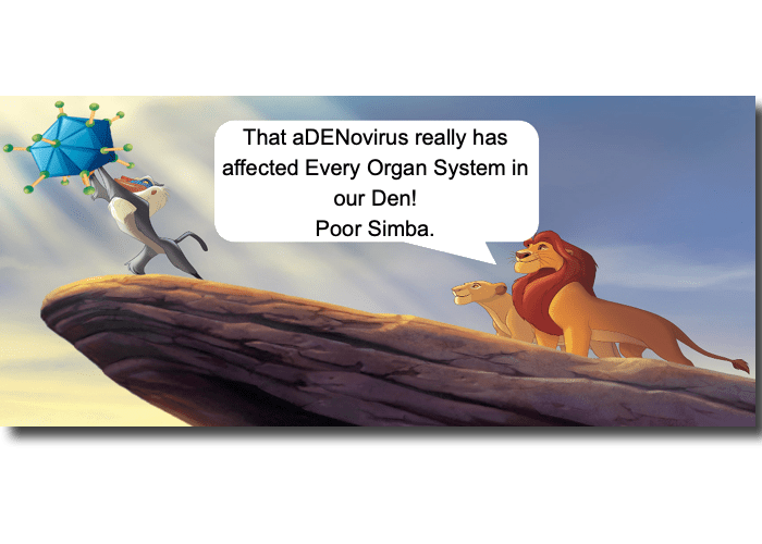 Adenovirus infections in children